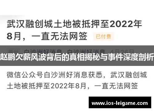 赵鹏欠薪风波背后的真相揭秘与事件深度剖析 赵鹏欠薪风波背后的真相揭秘与事件深度剖析