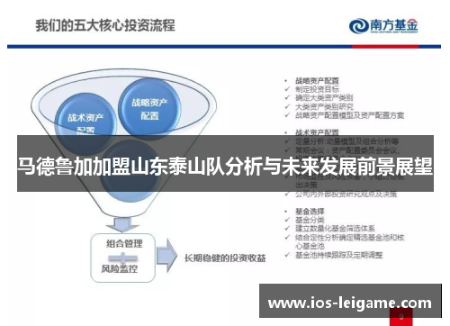 马德鲁加加盟山东泰山队分析与未来发展前景展望 马德鲁加加盟山东泰山队分析与未来发展前景展望